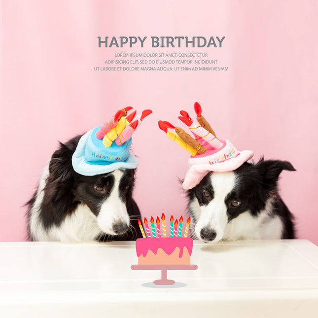 Verstelbare Verjaardagsmuts voor Huisdieren | Zacht en Duurzaam Materiaal | Geschikt voor Diverse Feestjes