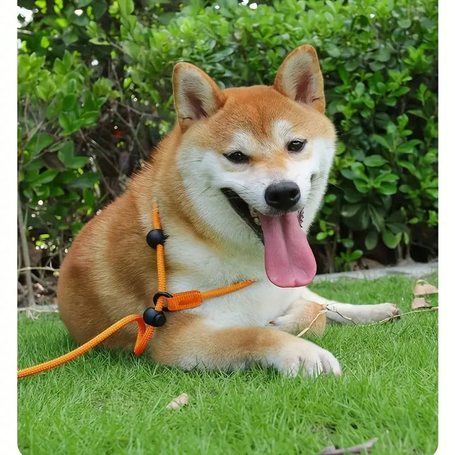 Reflecterende Gevlochten Nylon Looplijn | Glow-In-Dark Veiligheid | Comfortabele Zachte Grip | Ademend Duurzaam | Ideaal voor Nachtelijke Wandelingen en Training | 170cm - Oranje/Zwart/Groen