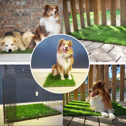 PawTurf hondentoilet | Lekvrije kunstgrasmat voor zindelijkheidstraining | Geschikt voor binnen en buiten | Duurzaam & makkelijk schoon te maken | Voor alle hondengroottes
