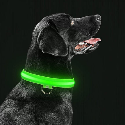 Spetter | LED Veiligheidshalsband voor Huisdieren | Zacht en Duurzaam | Oplaadbaar en Waterbestendig | Meerdere Kleuren
