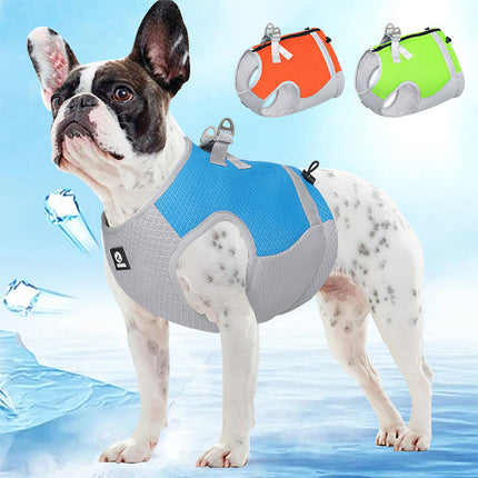 Verstelbaar Reflecterend Koelvest Voor Honden | Limegroen, Blauw, Oranje | Comfortabel op Warme Dagen | Snel Afneembare Hondentop | Geschikt Voor Wandeling, Training, Shows | D-Ring Voor Riem