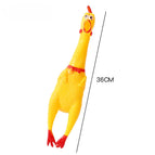 36cm