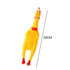 28cm