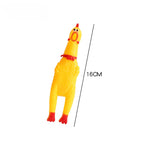 16cm