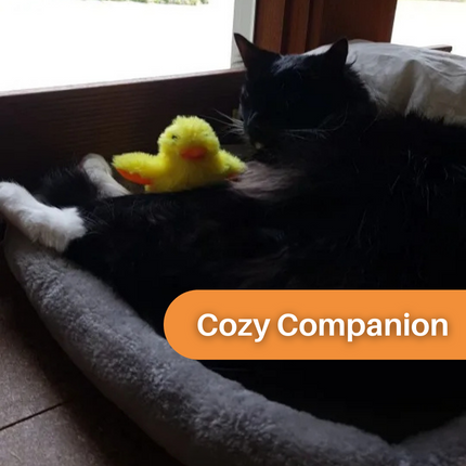 Interactie Katten Speelgoed | Elektrische Fladderende Eend | Rekenbaar USB | Quack Buddy™ | Voor Fysieke Activering en Jacht | Duurzaam Huisdierentertainment
