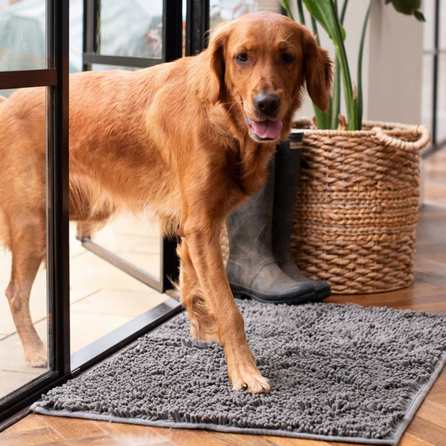 CleanPaw | Hou Je Huis Schoon, Voorkom Modderige Pootafdrukken Na Wandelingen Met Je Hond