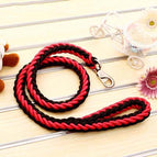 Zwart en Rood