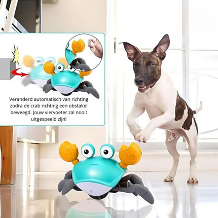 Crabwalk Interactief Bewegend Speelmaatje voor Honden | Verhoogt Mentale & Fysieke Activiteit | Beschikbaar in Blauw en Oranje
