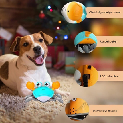 Crabwalk Interactief Bewegend Speelmaatje voor Honden | Verhoogt Mentale & Fysieke Activiteit | Beschikbaar in Blauw en Oranje