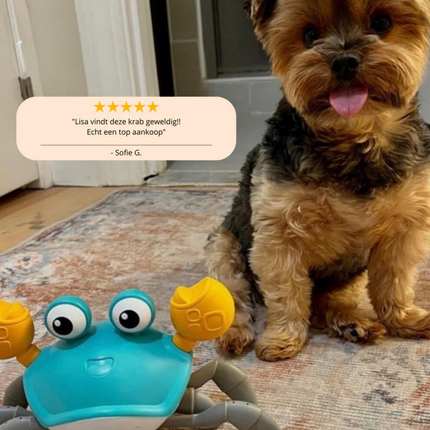 Crabwalk Interactief Bewegend Speelmaatje voor Honden | Verhoogt Mentale & Fysieke Activiteit | Beschikbaar in Blauw en Oranje