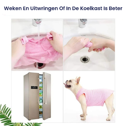 Verkoelend Hondenshirt | Lichtgewicht en Ademend | Temperatuurregulerend | Verkrijgbaar in Blauw, Groen, Roze | Maat XS, S, M
