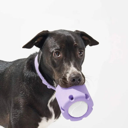 Interactief Apporteer & Kauwspeeltje voor Honden | Duurzaam & Kauwbestendig | Inclusief Tennisbalhouder | Huisdiervriendelijk & Niet-Giftig | Mentale & Fysieke Stimulatie