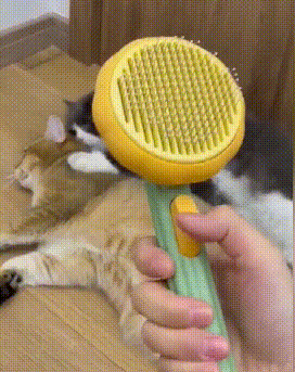 Nala | Ergonomische Huisdierborstel voor Alle Vachttypes | Zachte Massage en Effectieve Reiniging