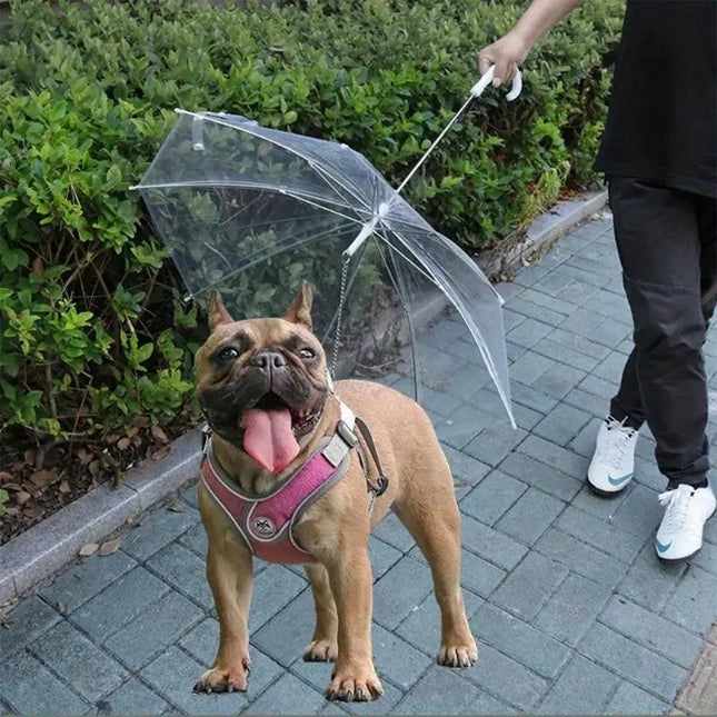 Transparante Hondenparaplu Met Riem | Weerbestendig | Duurzaam Kunststof en Metaal | Bescherming Regen en Sneeuw | 66 cm | Comfortabel en Veilig