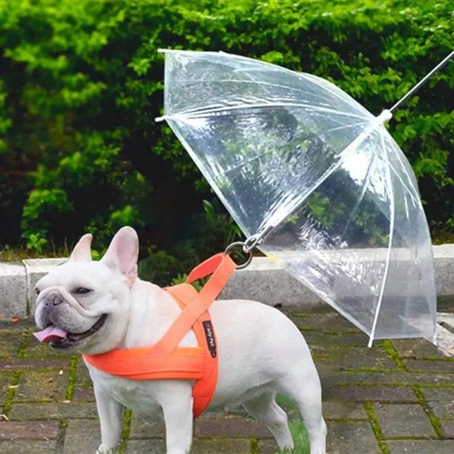 Transparante Hondenparaplu Met Riem | Weerbestendig | Duurzaam Kunststof en Metaal | Bescherming Regen en Sneeuw | 66 cm | Comfortabel en Veilig