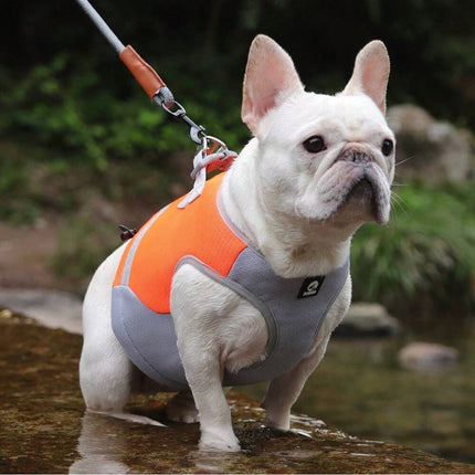 Verstelbaar Reflecterend Koelvest Voor Honden | Limegroen, Blauw, Oranje | Comfortabel op Warme Dagen | Snel Afneembare Hondentop | Geschikt Voor Wandeling, Training, Shows | D-Ring Voor Riem