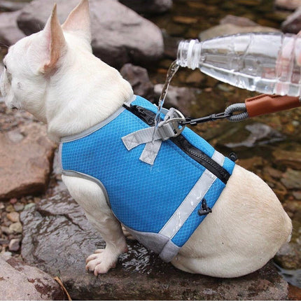 Verstelbaar Reflecterend Koelvest Voor Honden | Limegroen, Blauw, Oranje | Comfortabel op Warme Dagen | Snel Afneembare Hondentop | Geschikt Voor Wandeling, Training, Shows | D-Ring Voor Riem
