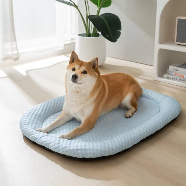 Verkoelende IJs-Zijde Mat voor Honden | Zacht en Comfortabel | Bescherming tegen Warmte | Gemaakt van 3D Vezels | Helpt Hoofd en Nek koel houden | Gemakkelijk in Gebruik | Geen Opladen Nodig