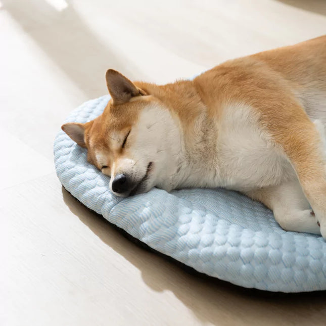 Verkoelende IJs-Zijde Mat voor Honden | Zacht en Comfortabel | Bescherming tegen Warmte | Gemaakt van 3D Vezels | Helpt Hoofd en Nek koel houden | Gemakkelijk in Gebruik | Geen Opladen Nodig