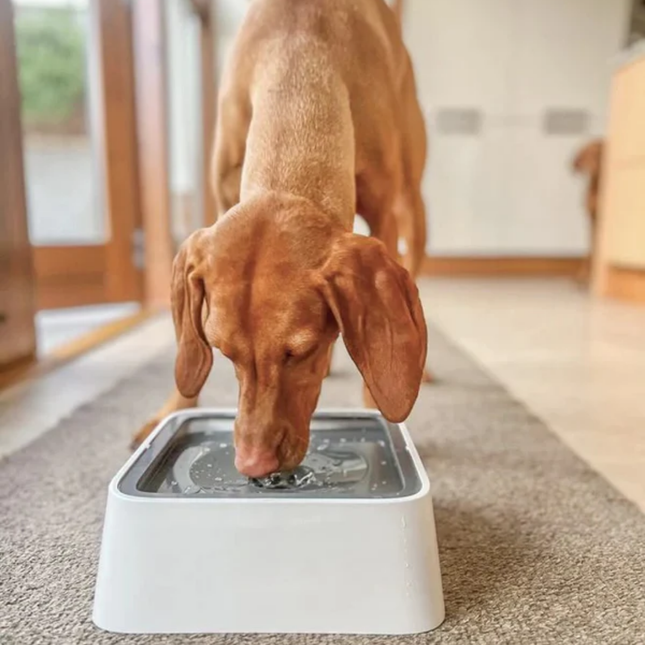 AquaFloat Waterbestendige Mat voor Honden Drinkbakken | Voorkomt Natte Vloeren en Vlekken | Ideaal voor Huisdieren