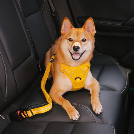 CoolPaw Buffer | Verstelbare Reflecterende Hondenriem voor Auto | Veilig & Comfortabel | Elastisch & Duurzaam | Past op Alle Harnassen