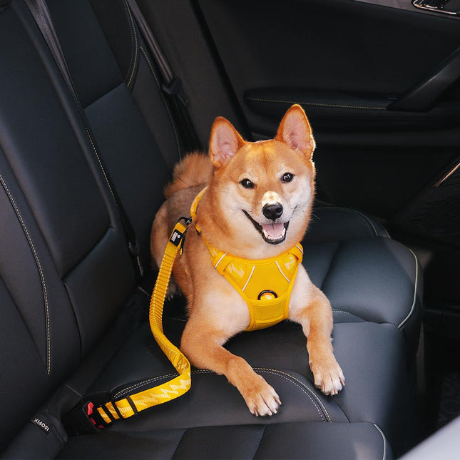 CoolPaw Buffer | Verstelbare Reflecterende Hondenriem voor Auto | Veilig & Comfortabel | Elastisch & Duurzaam | Past op Alle Harnassen