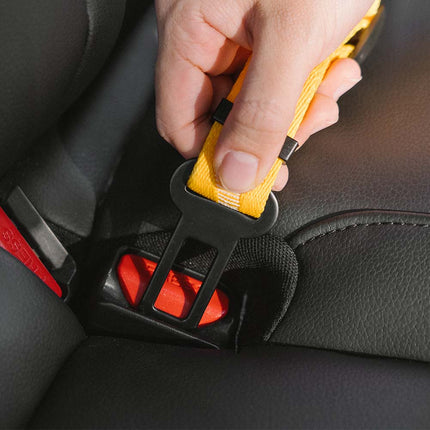 CoolPaw Buffer | Verstelbare Reflecterende Hondenriem voor Auto | Veilig & Comfortabel | Elastisch & Duurzaam | Past op Alle Harnassen