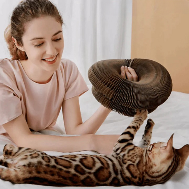 PetStory™ | Houdt Katten Actief en Bescherm Uw Meubels | Geschikt voor Alle Leeftijden en Maten | Duurzaam en Eenvoudig te Installeren