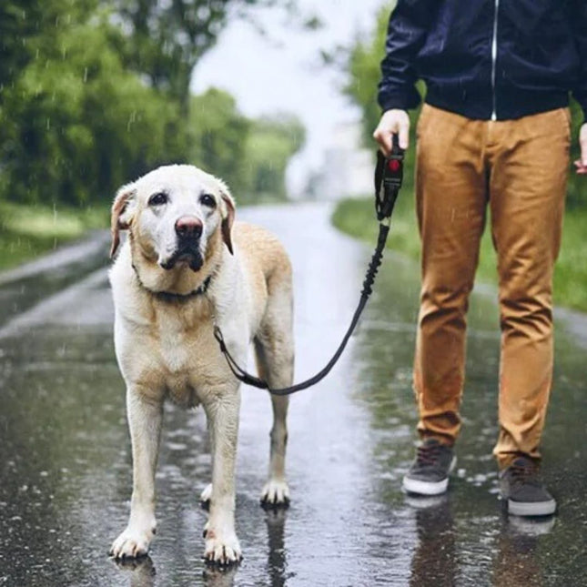 Reflecterende Veilige Huisdierbeveiliging Met Elastische Schokabsorptie | Nylon Materiaal | Geschikt Voor Alle Auto's | Zichtbaarheid Verbeterend | Duurzaam Gebruik