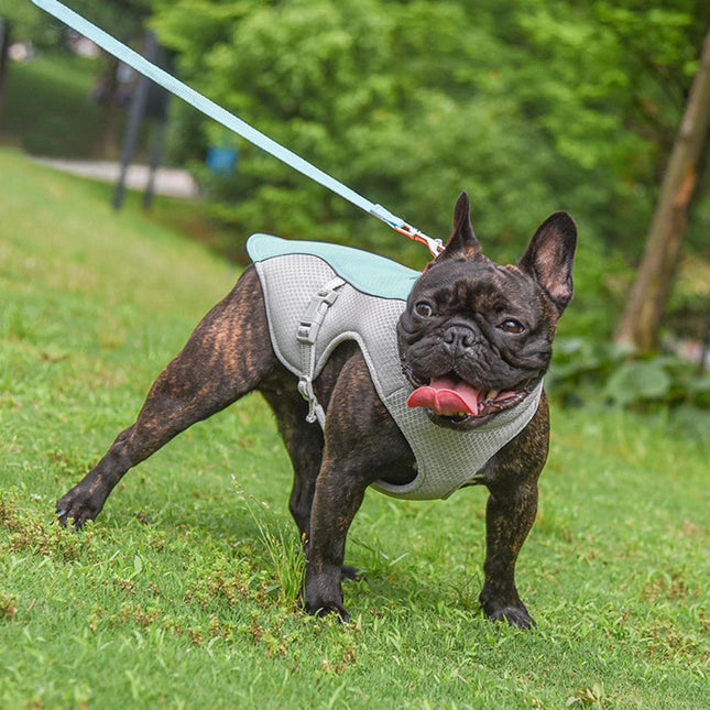 Ademend Hondenvest | Reflecterend Design | Snelsluiting | Beschikbaar in XXS-XXL | Paars, Blauw, Limegroen, Oranje