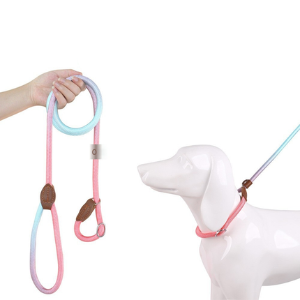 Kluwenvrije Nylon Hondenlijn | Ergonomische Grip | Duurzame Constructie | Geschikt voor Korte en Lange Wandelingen | Verkrijgbaar in Paars, Roze, Geel | Maten: S, M, L, XL | Modern Ontwerp