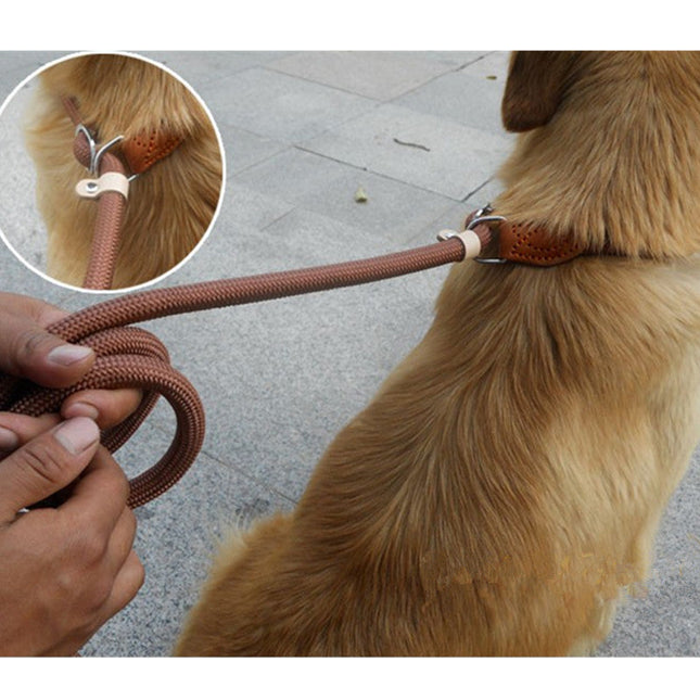 Nylon Slipkoord Hondentuig Zonder Halsband | Verstelbare Antitrekrain met Zacht Handvat | Voor Middelgrote en Grote Honden | Verkrijgbaar in Khaki Zwart Rood Blauw Koffie | Duurzaam Gevlochten voor Comfortabele Wandelervaring