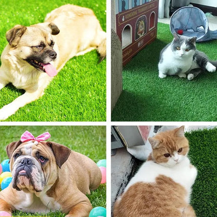 PawTurf hondentoilet | Lekvrije kunstgrasmat voor zindelijkheidstraining | Geschikt voor binnen en buiten | Duurzaam & makkelijk schoon te maken | Voor alle hondengroottes