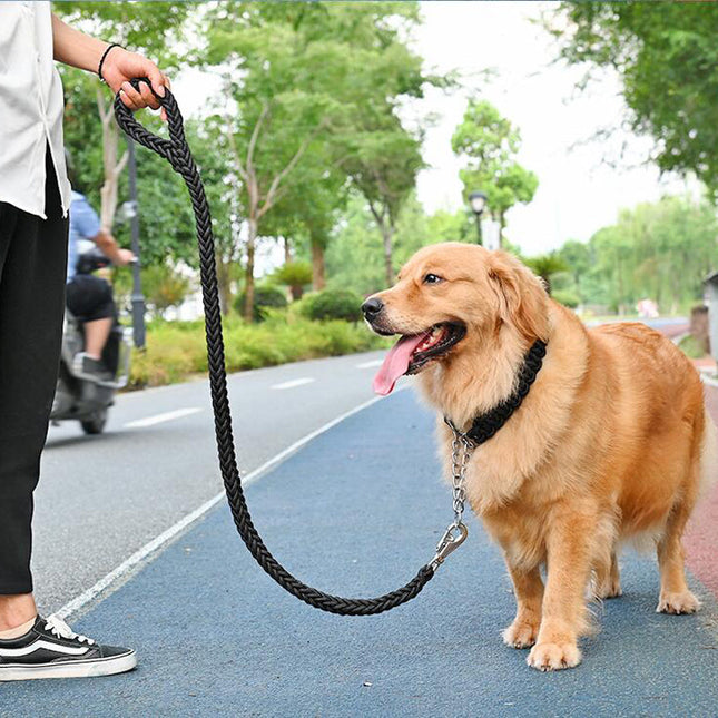 Duurzame Gevlochten Nylon Hondenlijn | Veilige Gesp | Meerdere Kleuren en Maten | Sterke Grip | Voor Middelgrote en Grote Honden
