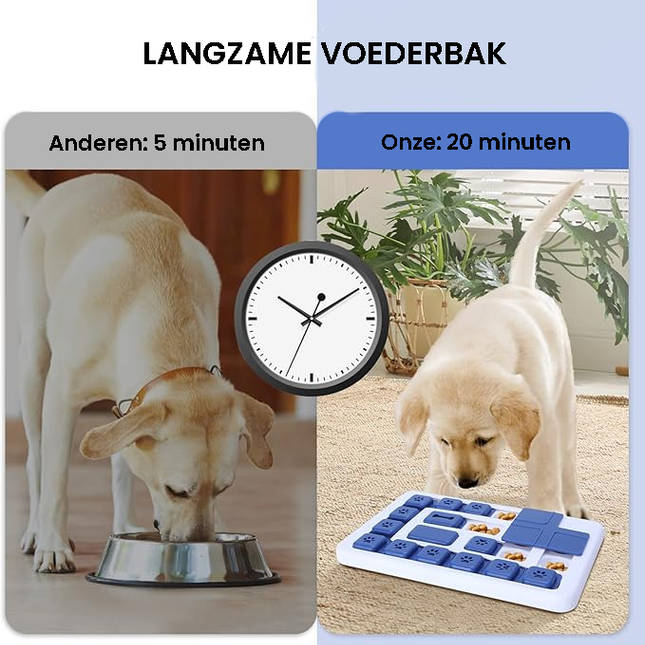 Innovatieve Hondenschotel | Mentale Uitdaging | Vertraagt Eten | Duurzaam | Gemakkelijk Te Reinigen | Voor Betere Spijsvertering | Anti-Verveling | Ideaal Voor Portiecontrole