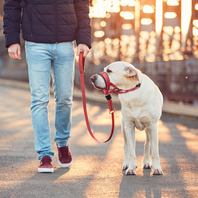 Ademende Nylon Anti-Blaf Snuit met Reflecterende Strips voor Honden | Verstelbare Pasvorm en Snelsluiting | Kleuren: Oranje, Rood, Blauw | Maten: S, M, L, XL