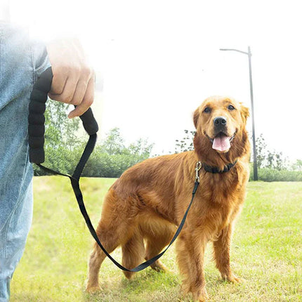 Extra Lange Hondenriem | Zacht Sponshandvat | Duurzaam Nylon | Verbeterde Zichtbaarheid | Meerdere Lengtes | Voor Kleine tot Middelgrote Honden