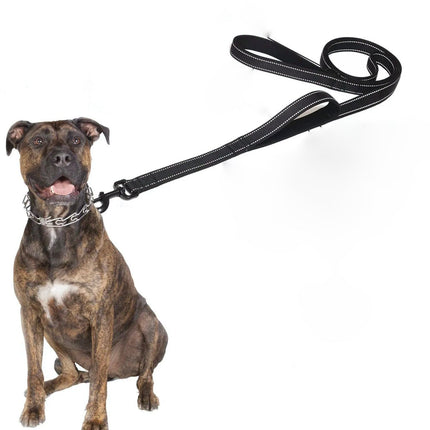 Dubbele Handgreep Hondenriem | Reflecterend voor Nachtwandelingen | Duurzaam Polyester | Geschikt voor Grote Sterke Honden