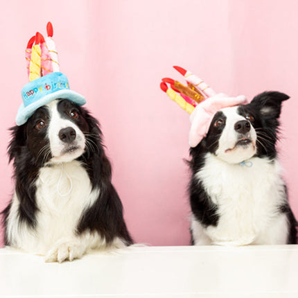 Verstelbare Verjaardagsmuts voor Huisdieren | Zacht en Duurzaam Materiaal | Geschikt voor Diverse Feestjes