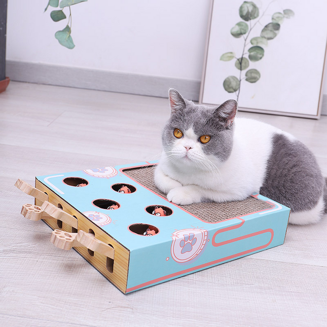 Whiskers | Compacte Duurzame Kat Speeltuin | Interactief Krabmeubel | Klimaatbewuste Speelplek | Eco-Vriendelijk Karton