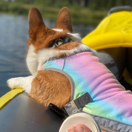 Verkoelend Hondenvest | Verstelbaar & Reflecterend | Hond Hittebescherming | Comfortabel Ademend Mesh | Harnasvriendelijk | Blauw & Regenboog | S-XXL