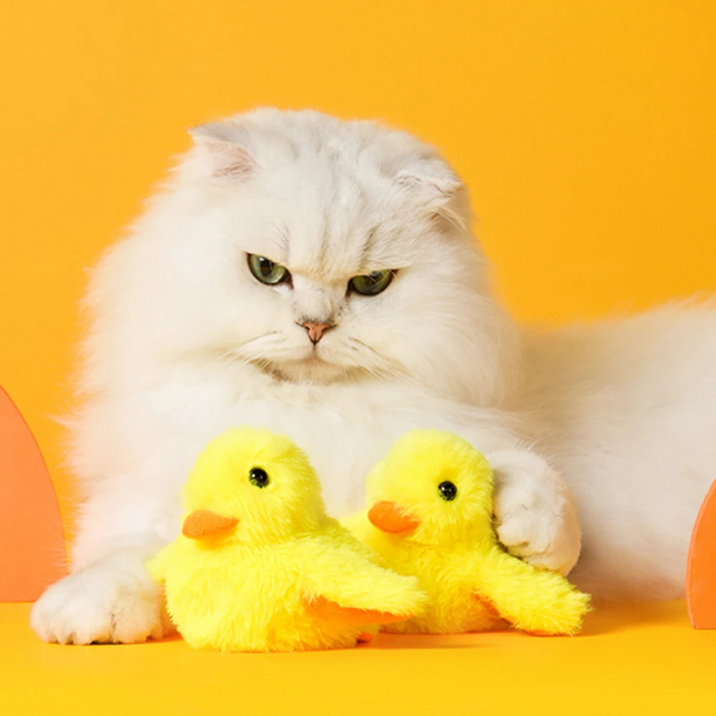 Interactie Katten Speelgoed | Elektrische Fladderende Eend | Rekenbaar USB | Quack Buddy™ | Voor Fysieke Activering en Jacht | Duurzaam Huisdierentertainment