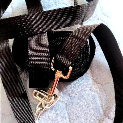 Nylon Hondenlijn Met Stevige Greep | Meerdere Lengteopties | Geschikt Voor Kleine Tot Grote Honden