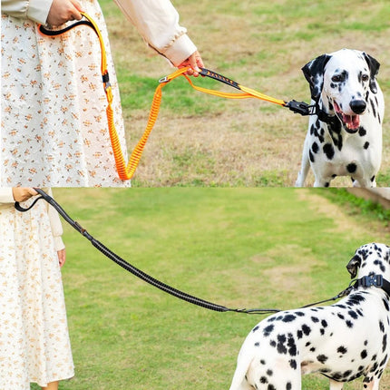 Elastische Hondenlijn met Schokabsorptie en Reflecterende Stiksels voor Actieve Honden