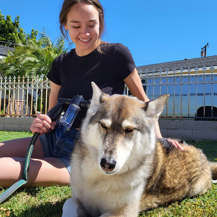 StressFree Hondendouche™ | Gemakkelijke en Efficiënte Reiniging voor Jouw Hond | Zachte Waterstraal en Shampoedispenser | Ideaal voor Alle Hondenmaten