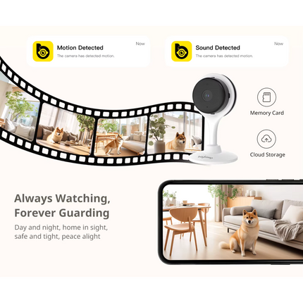 Boykeep 2K Dual-band Wifi | Beveilig Bebés, Huisdieren & Ouderen | SD-kaart & Cloudopslag | Nachtzicht en Tweeweg-audio | Bekijk live via App