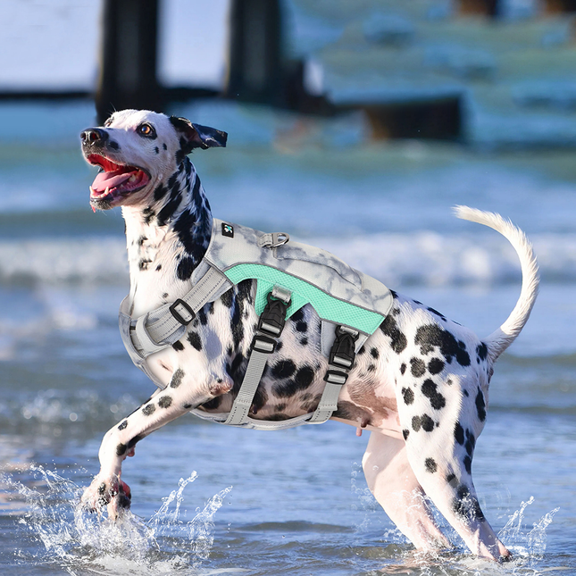 Reflecterend Verstelbaar Hondentuigje | Geavanceerde Koeltechnologie | Comfortabel & Lichtgewicht | Veiligheid bij Weinig Licht | Snelsluiting | Voor Alle Hondengroottes