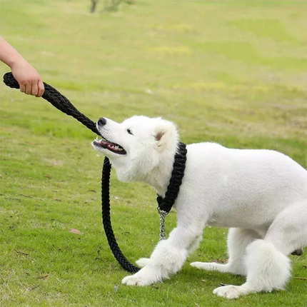 Duurzame Gevlochten Nylon Hondenlijn | Veilige Gesp | Meerdere Kleuren en Maten | Sterke Grip | Voor Middelgrote en Grote Honden