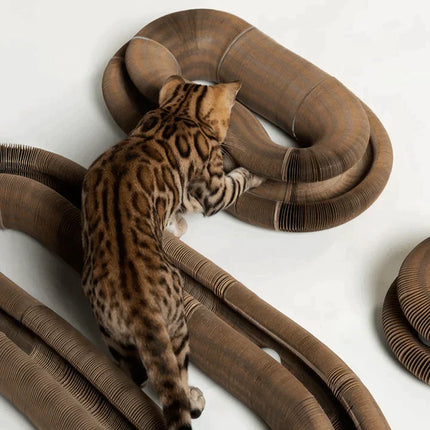 PetStory™ | Houdt Katten Actief en Bescherm Uw Meubels | Geschikt voor Alle Leeftijden en Maten | Duurzaam en Eenvoudig te Installeren