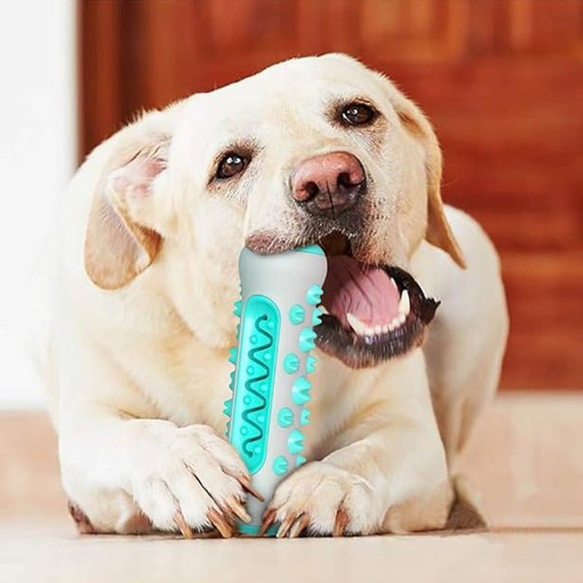 Duurzaam TPR Kauwspeelgoed voor Honden | Tandenreinigend en Angstverlichtend | Geschikt voor Middelgrote tot Grote Rassen | Bevordert Gezond Gebit | Ideaal voor Trainingssessies